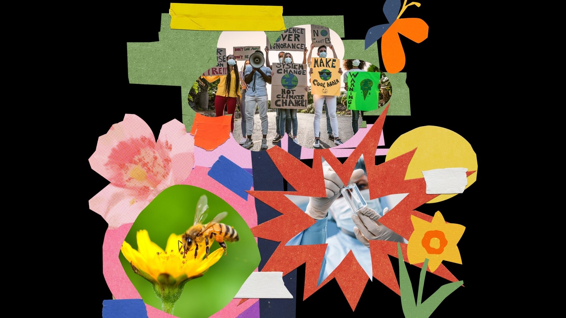 9 Research Videos We Love